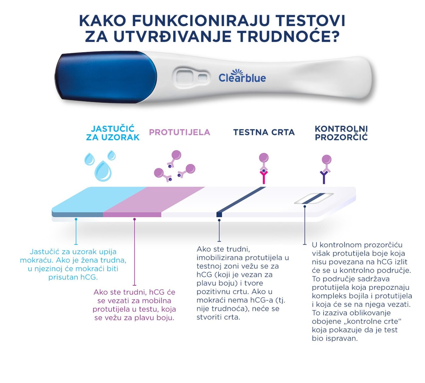 ISKUŠENJA BETA HCG: ŠTO TREBATE ZNATI