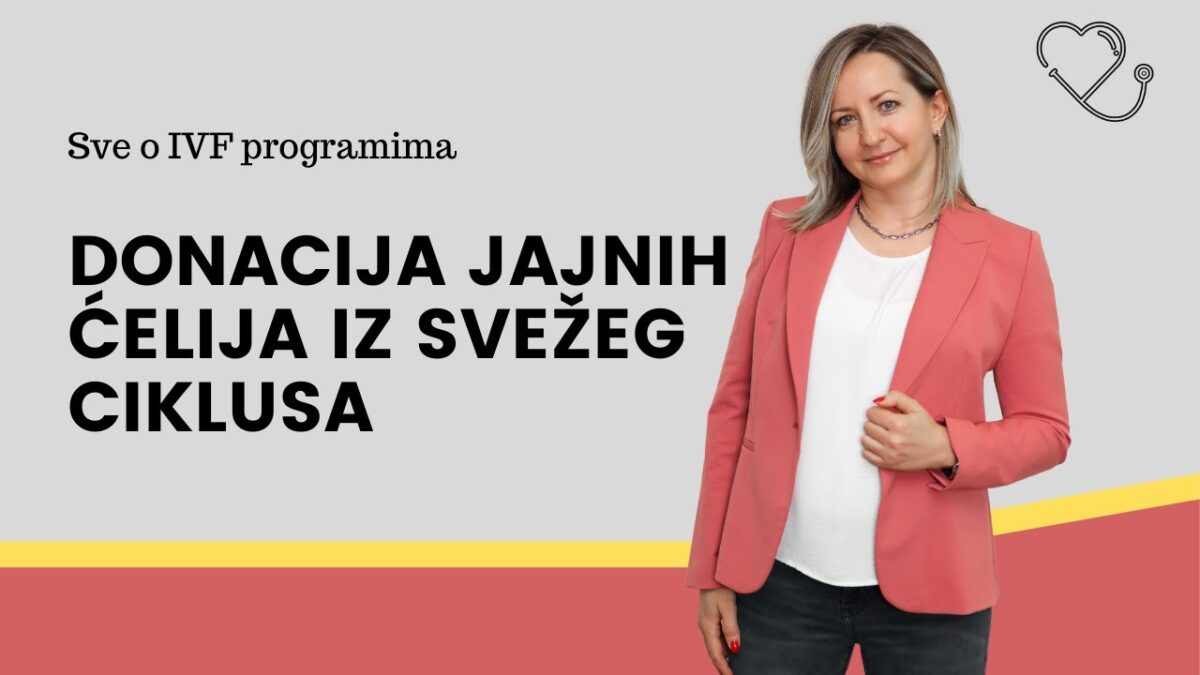 VTO SA DONIRANIM JAJNIM CELIJAMA: ISKUSTVA I INFORMACIJE