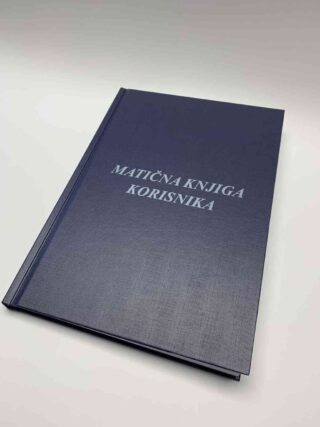 Gladiator 2 review – sveobuhvatan vodič za film fanove i kritičare