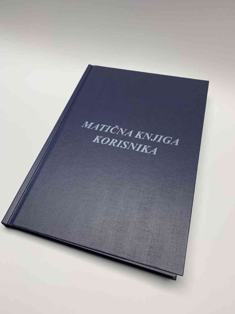 Gladiator 2 review – sveobuhvatan vodič za film fanove i kritičare